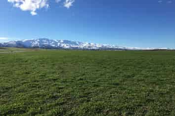  Thyme Fields Road, Alexandra