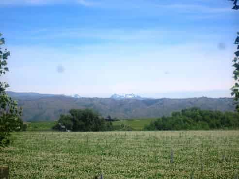  McArthur Ridge Fields, Springvale Road, Alexandra