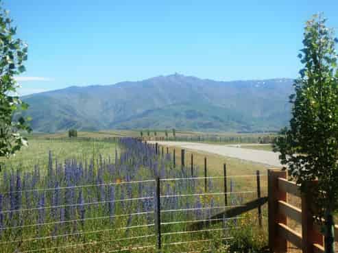  McArthur Ridge Fields, Springvale Road, Alexandra