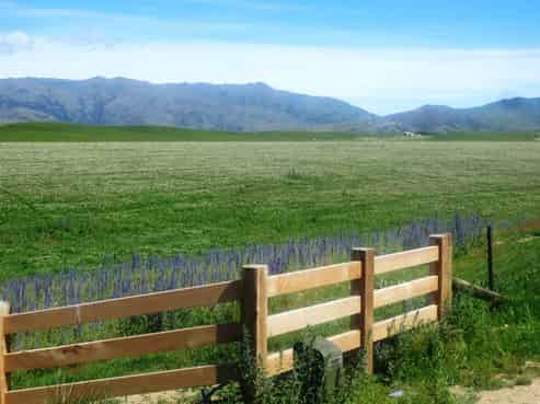  McArthur Ridge Fields, Springvale Road, Alexandra