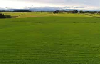 200 McIntosh Road, Otautau