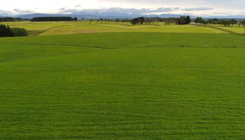 200 McIntosh Road, Otautau