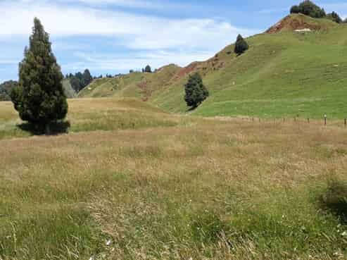 198 Brewer Road, Douglas