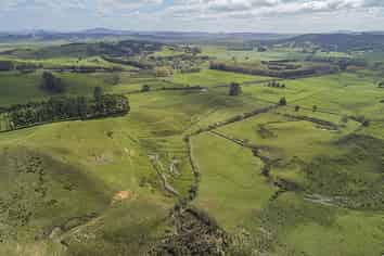 113c Marua Road, Hikurangi