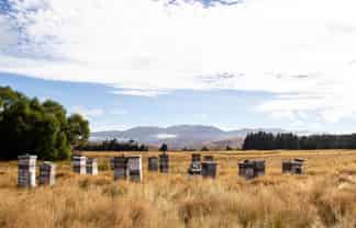 7189 Wedderburn-Becks Road, Ranfurly