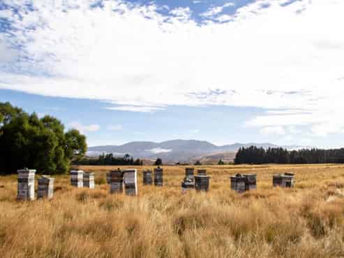 7189 Wedderburn-Becks Road, Ranfurly