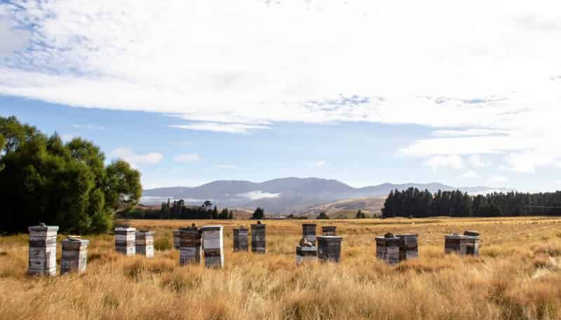 7189 Wedderburn-Becks Road, Ranfurly