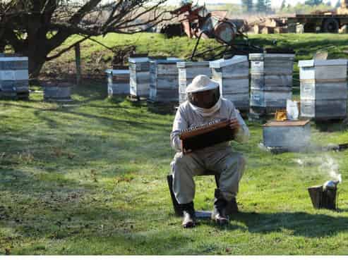 7189 Wedderburn-Becks Road, Ranfurly