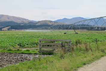 324 Luggate-Tarras Road, Luggate