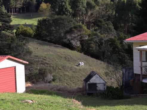 96 Corlett Road, Tauhoa