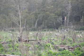 400 Rowallan Road, Tuatapere