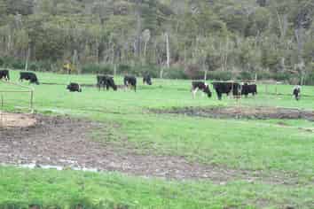 400 Rowallan Road, Tuatapere