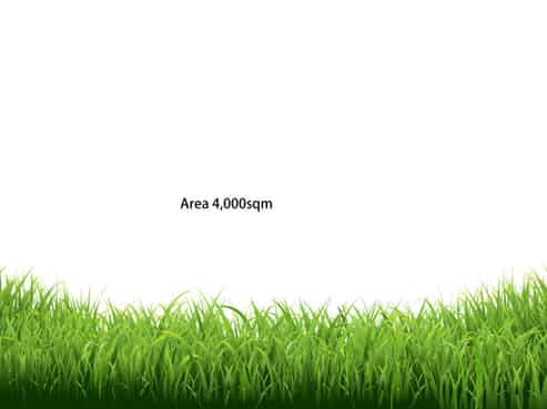 32 Northside Drive, Waikuku