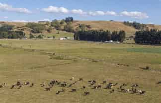 589 Oroua Valley Road, Manawatu Surrounds