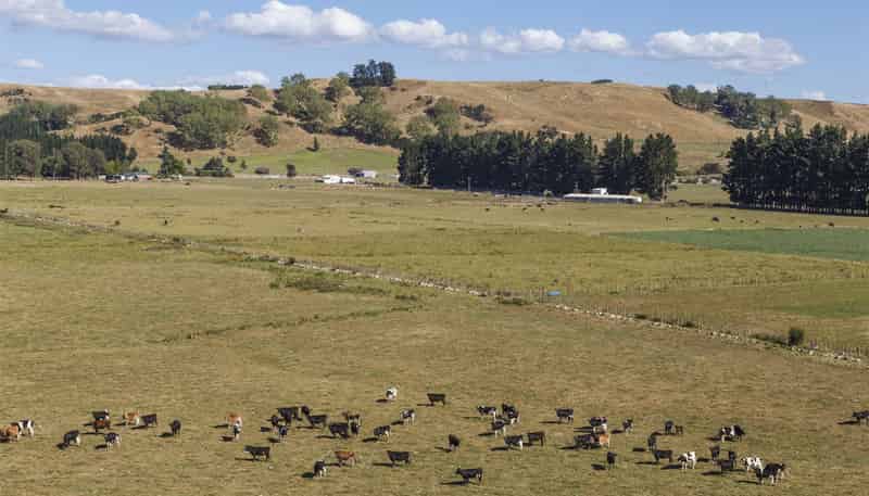 589 Oroua Valley Road, Manawatu Surrounds