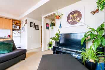 9 Charlotte Street, Eden Terrace