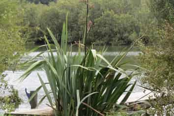 49e Vale Road, Riverside