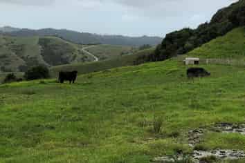 283 J Tolhopf Road, Puhoi