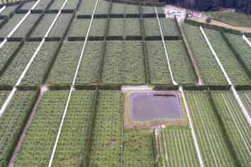 3962 State Highway 2, Raupunga