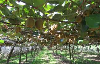 3962 State Highway 2, Raupunga