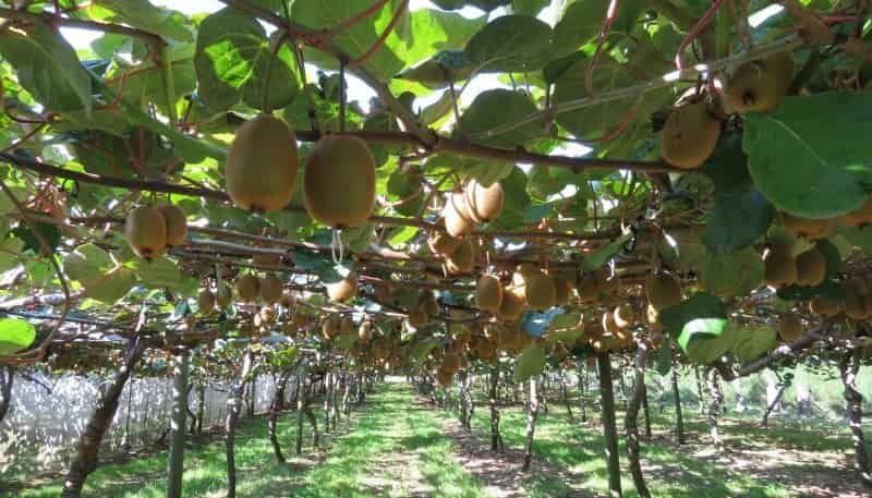 3962 State Highway 2, Raupunga