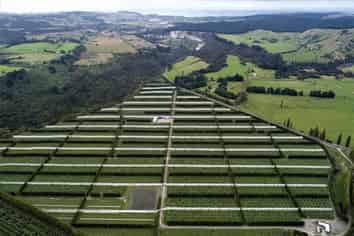 3962 State Highway 2, Raupunga