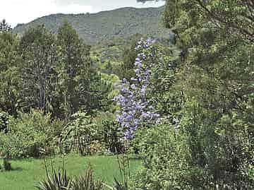809 Koutu Loop Road, Hokianga Surrounds