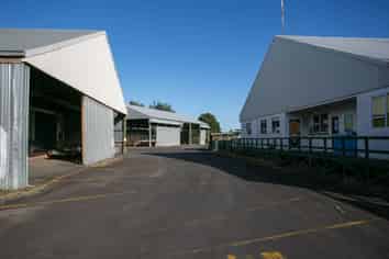 Plenty of potential in Putaruru!