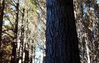 Allot. 163 Mason Road, Mangapai and Surrounds