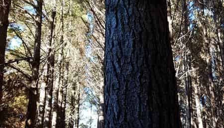 Allot. 163 Mason Road, Mangapai and Surrounds