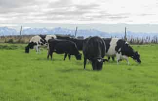 98 McIntosh Road, Otautau