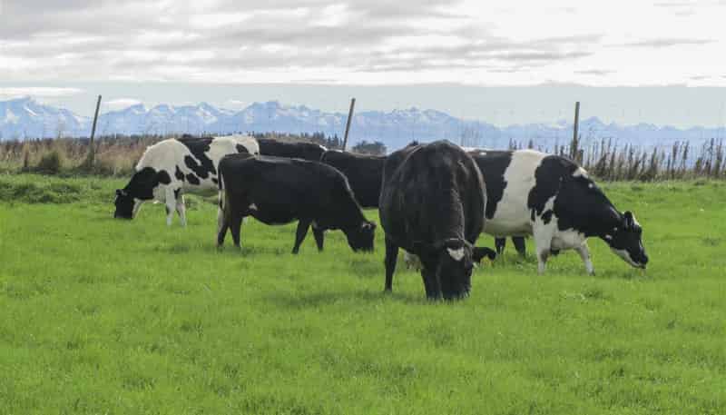 98 McIntosh Road, Otautau