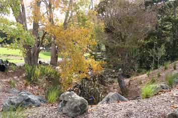 Auckland - Address withheld