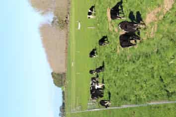 179 Brogdens Road, Eiffelton