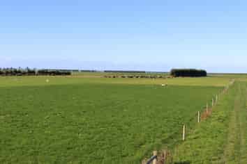 179 Brogdens Road, Eiffelton