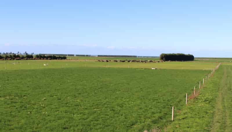 179 Brogdens Road, Eiffelton