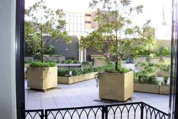 184 Symonds Street, Eden Terrace