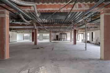 Beautiful character space with profile