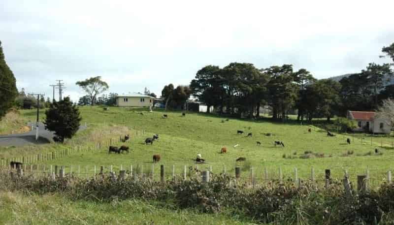 543 West Coast Road, Makarau