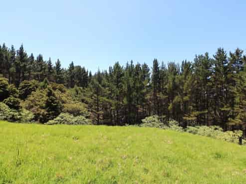 847 Pekerau Road, Karikari Peninsula