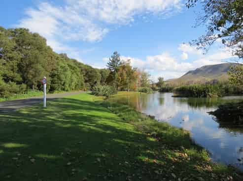 133 Enfield Drive, Pakipaki