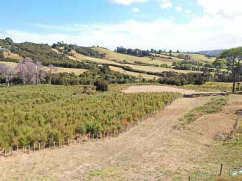 53 Goodall Road, Snells Beach