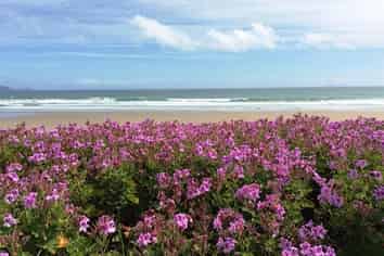 340 Kenwood Drive, Matarangi