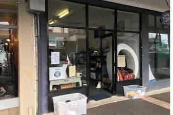 Owner Occupier Opportunity