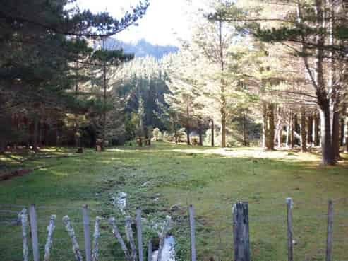 1677 Takaputahi Road, Opotiki Coastal