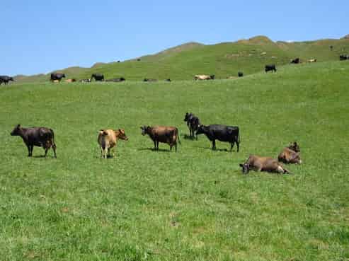 454 Parkville Road, Eketahuna