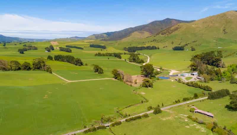 454 Parkville Road, Eketahuna