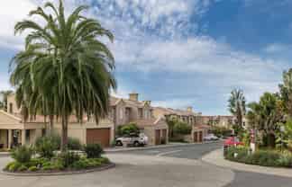 Point Ridge Mgt Rights Plus Property in Albany