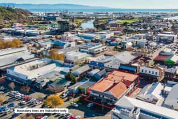Nelson CBD investment with upside