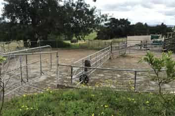 112 Mountain View Road, Hikurangi